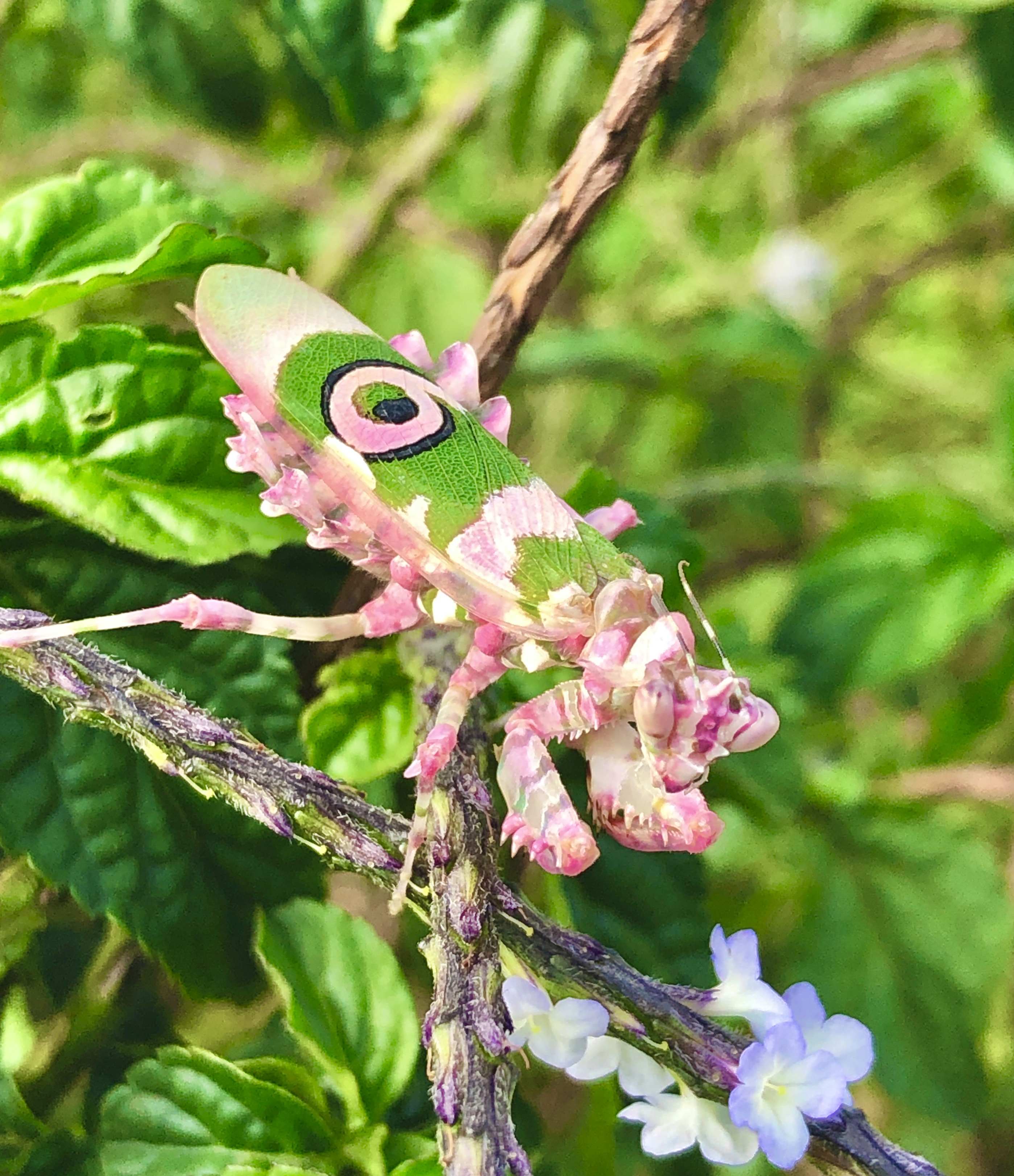 Tayrona National Natural Park